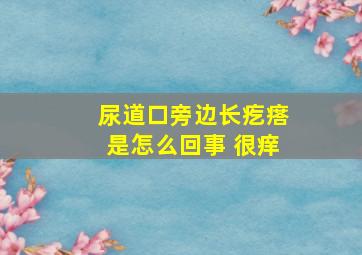 尿道口旁边长疙瘩是怎么回事 很痒